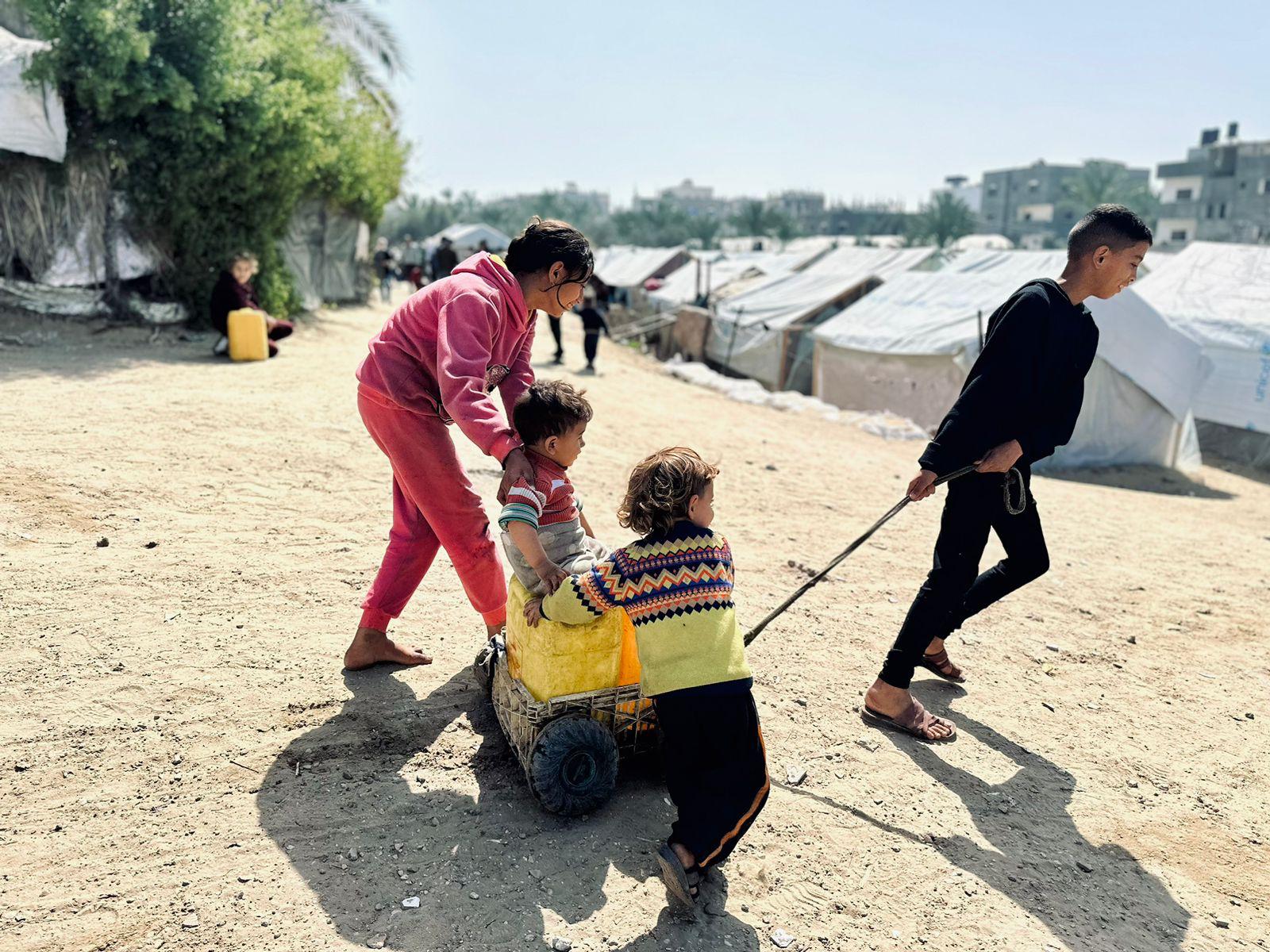 ACQUA PER GAZA: IL FUTURO DOPO LA TREGUA